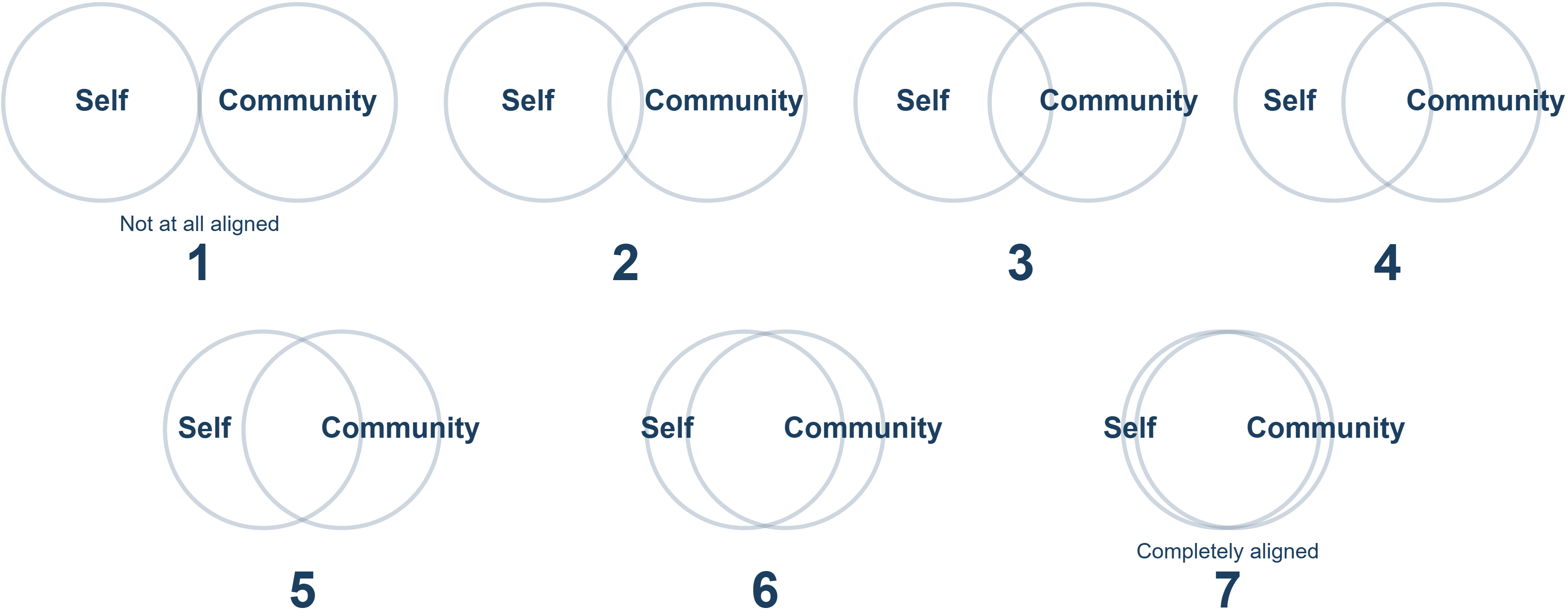rating scale of 1 to 7 for alignment between self and the community