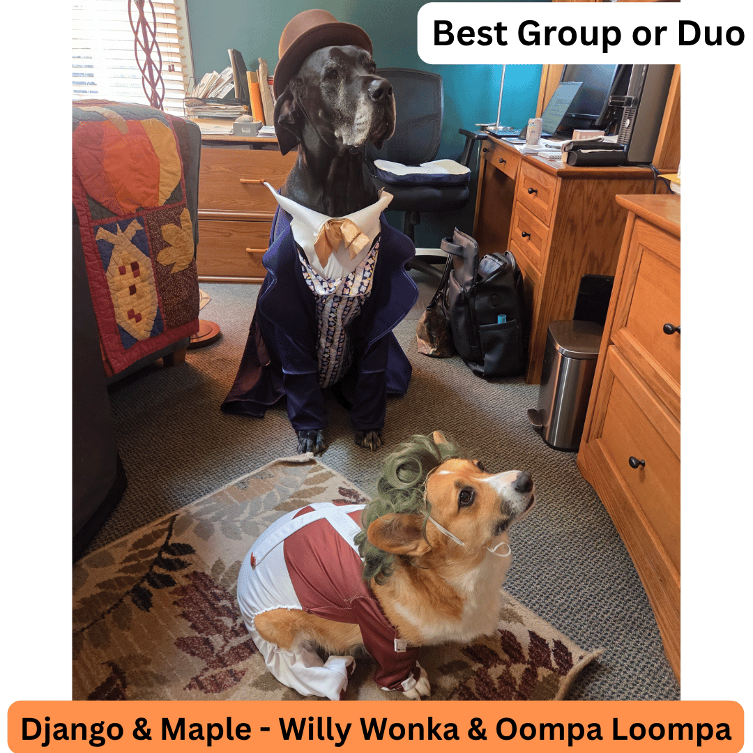 Django & Maple