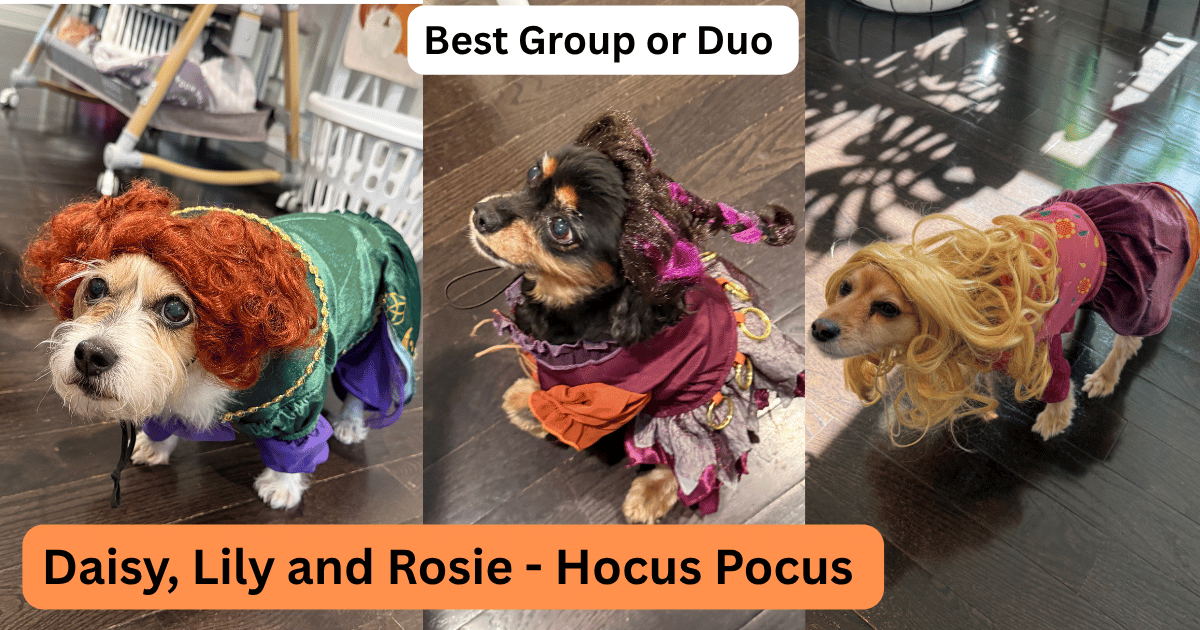  Daisy, Lily & Rosie 