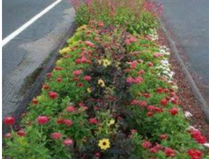  a waterwise garden 