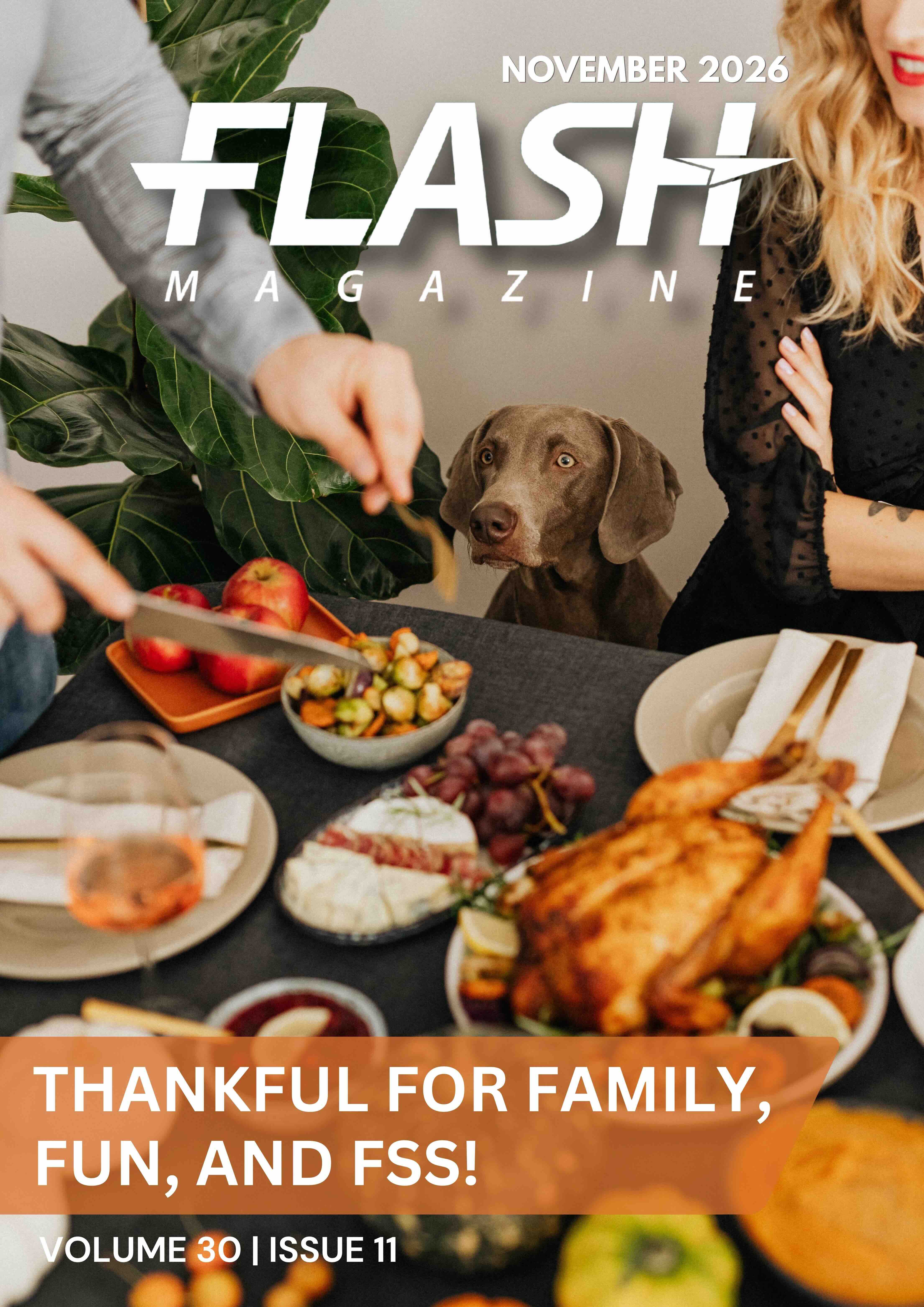 Flash Front Cover Example