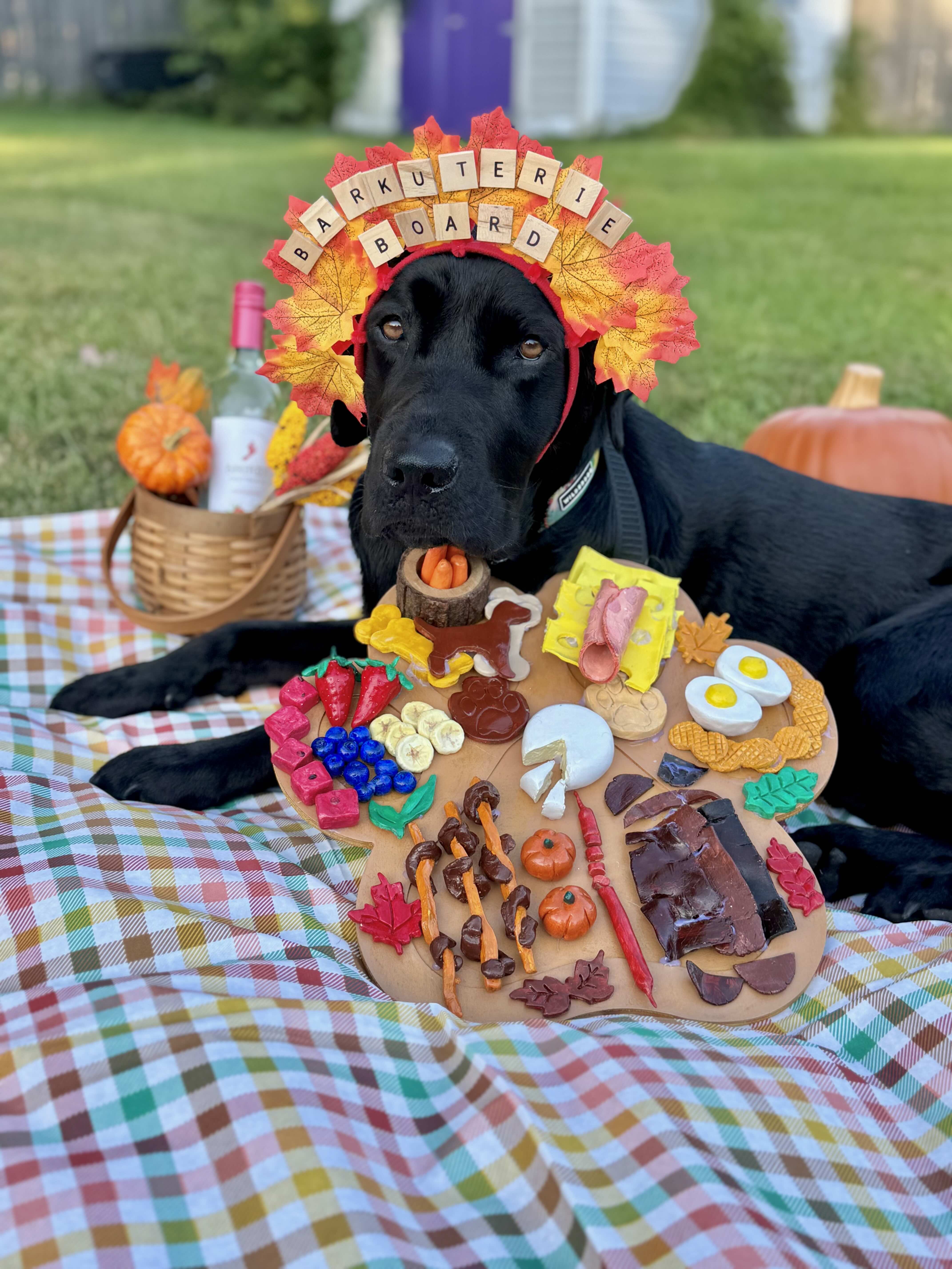 Male black lab Potter lays in a down on a picnic blanket and wears a headband made out of leaves and scrabble letters. The headband reads &ldquo;Barkuterie board&rdquo; and there is a paw print shaped board with handmade clay food on it including fruits, veggies, eggs, cheese, and crackers.