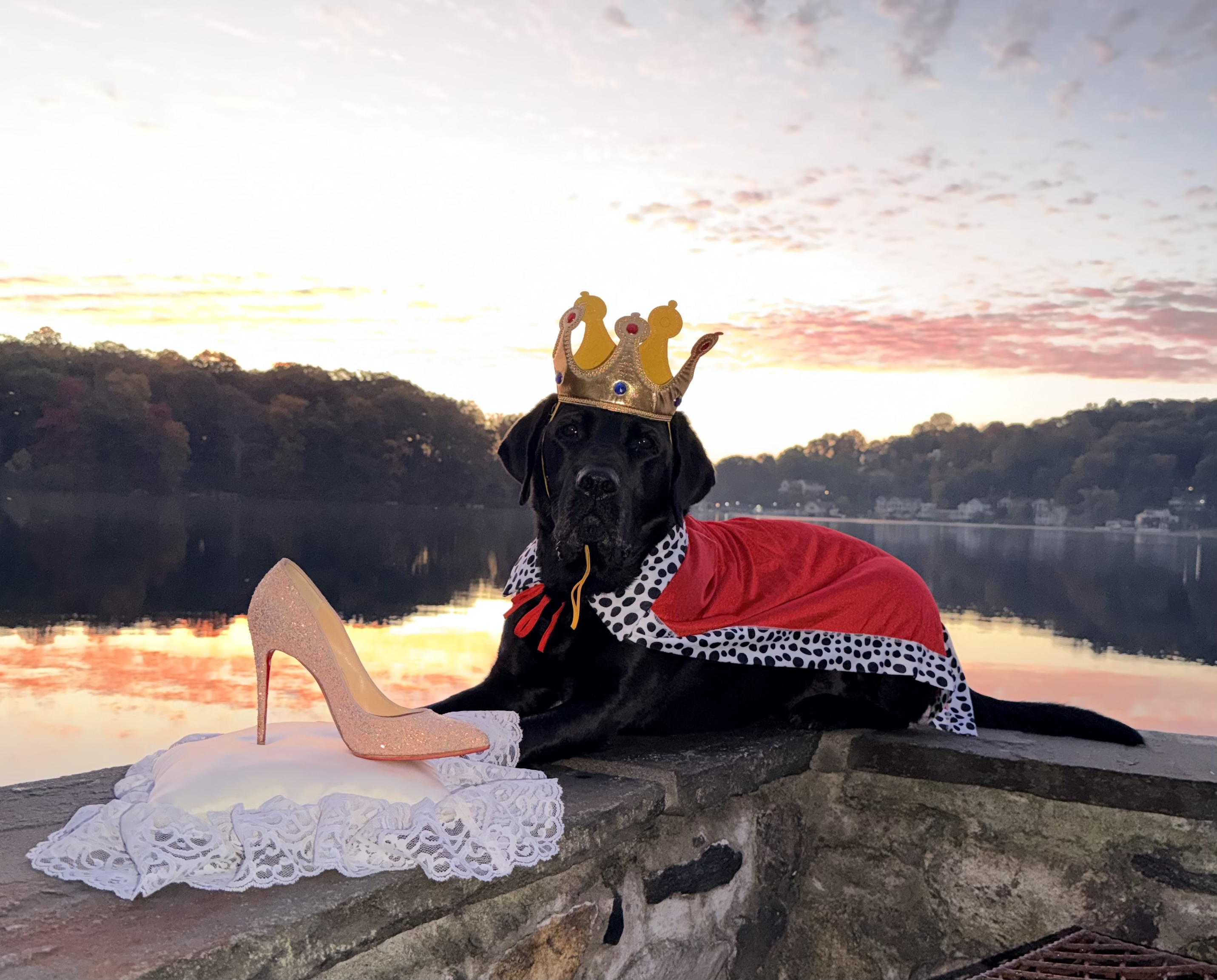 Male black lab Prince lays on a rock wall overlooking a lake and wears a crown and a red cape as if he is the prince. Beside him is a white pillow with a sparkly white high heel.