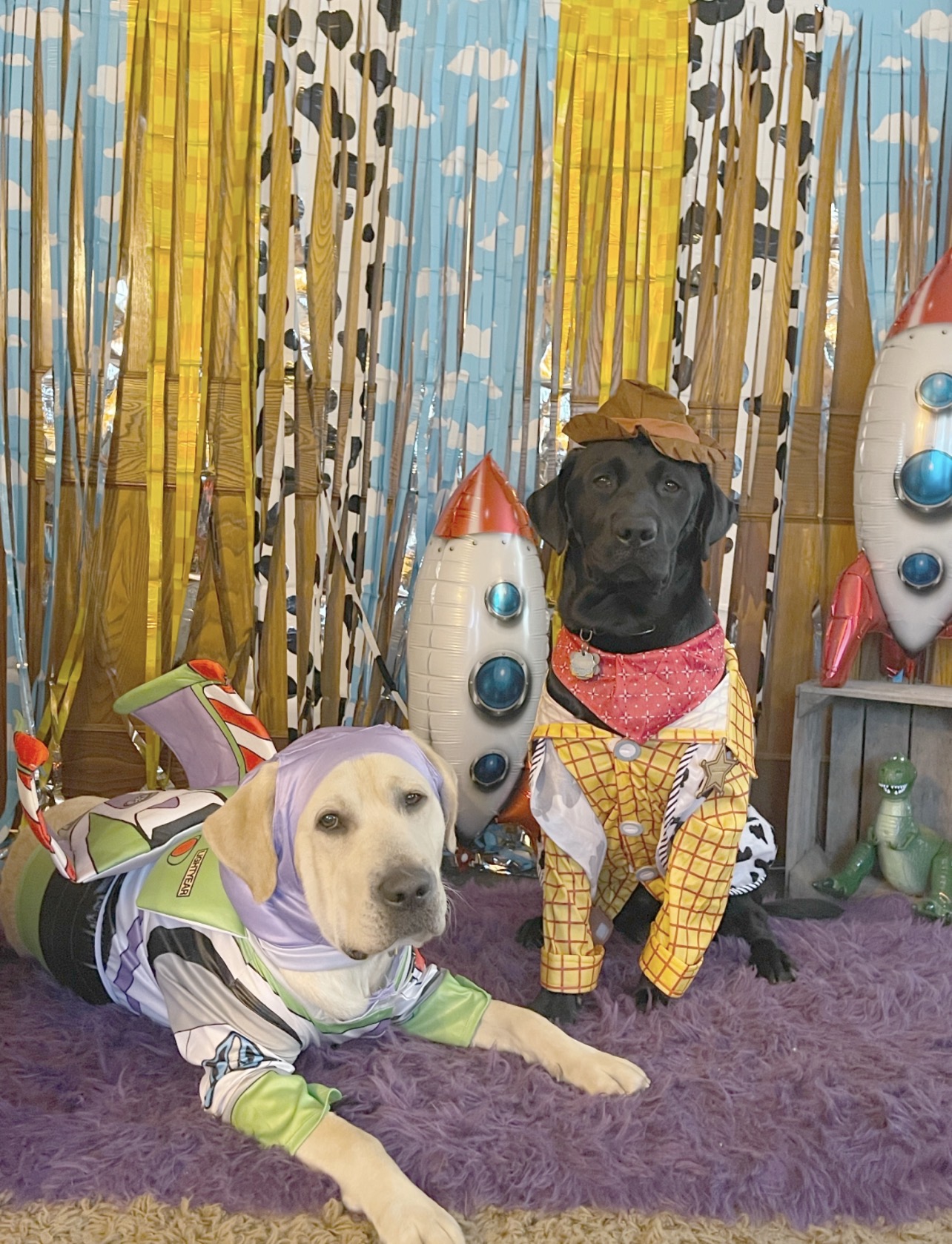 Male yellow lab Doc and male black lab Sarge are posed in front of a tasseled backdrop featuring a blue sky and white clouds pattern, a yellow checkerboard pattern, and a cow print pattern. Doc wears a Buzz Lightyear costume and Sarge wears a Woody costume. Accents include balloon rocket ships and the toy dinosaur from the movie, Toy Story.