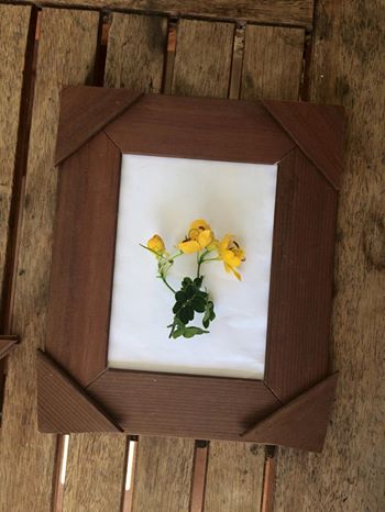Example of Nature Window mock up