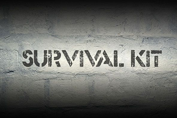 Application Form ELT Survival Kit Survey application-form-elt-survival-kit-survey