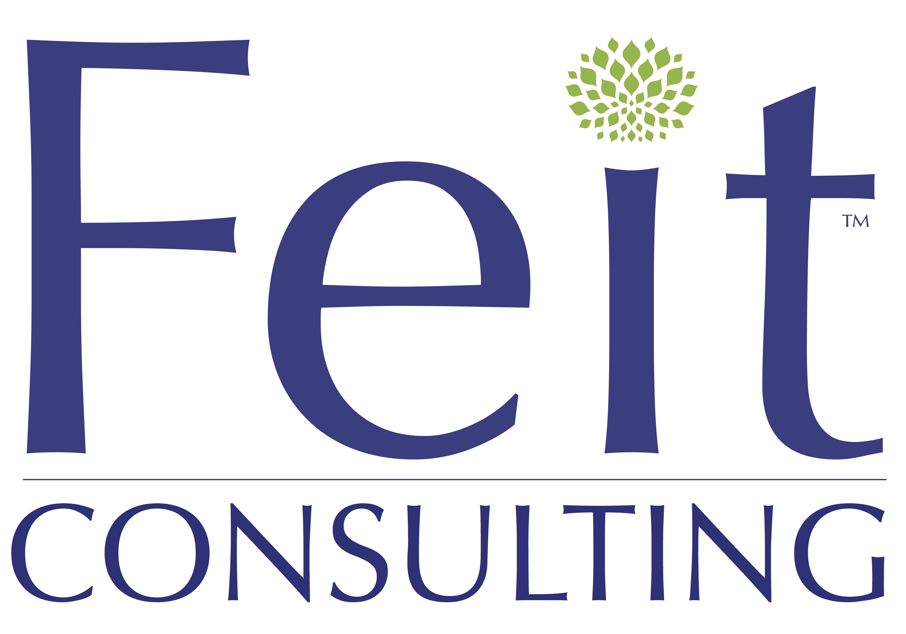 Sole Provider Viability Survey